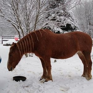 Meet your Posher, Jaylee